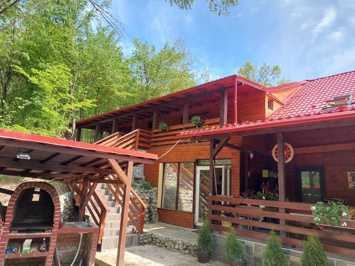 Cabana Alpha Baia Mare Exterior foto